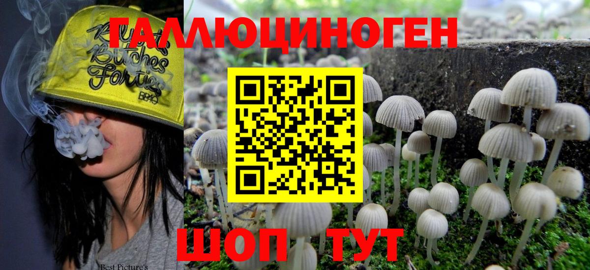 Псилоцибиновые грибы мицелий  Вход с VPN  Керчь 